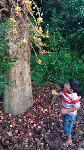 17 reactions | ফুল। #reelsfbシ #foryoupageシ #vairalvideo #1millionviews #flowers | Anisul Islam | Facebook