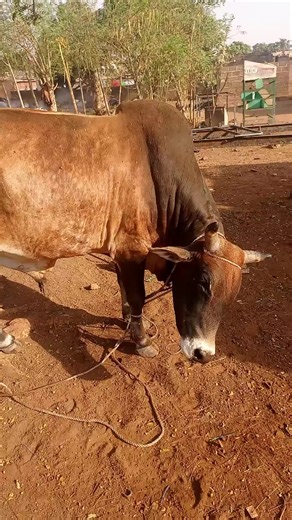 #malitiktok223🇲🇱 #mali #visibilite