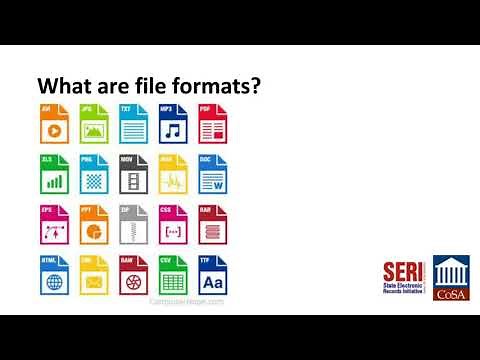 Long-Term Digital Preservation: File Formats