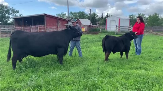 Devon Erickson on TikTok