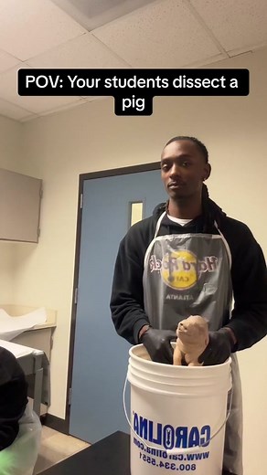 They did not want to touch that pig at first 😂. #teachersoftiktok #foryoupage #teachers #science