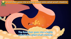 【2000集】AumSum-Time科普动画，发现生活中小奥秘 数学 物理 化学 生物 科学 2000集 英语