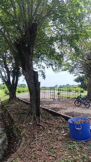 Perumahan elit fasilitas lengkap, ada lapangan golf dan helikopternya