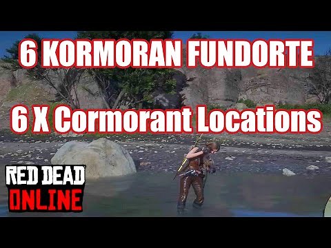 Cormorant Locations Kormoran Fundorte Red Dead Redemption 2 Online