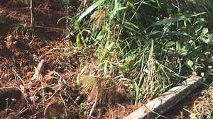 191K views · 1.1K reactions | Philippine Fiber Optic Incorporated at mga opisyal ng barangay,inireklamo | Regional News Group - RNG Luzon | Facebook