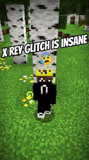 This 1 Block X-Ray is BROKEN 😱