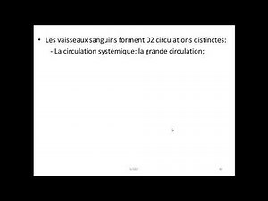 histologie de l'appareil cardio-vasculaire ( partie 2)