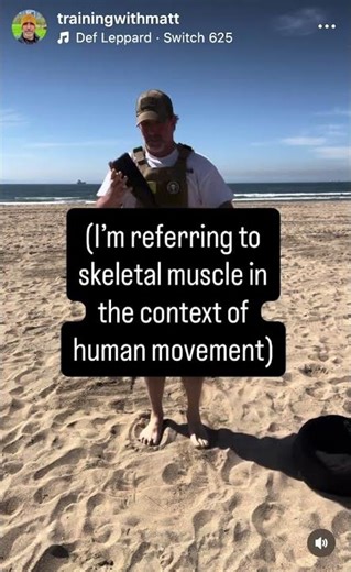 How Do Muscles Really Work?