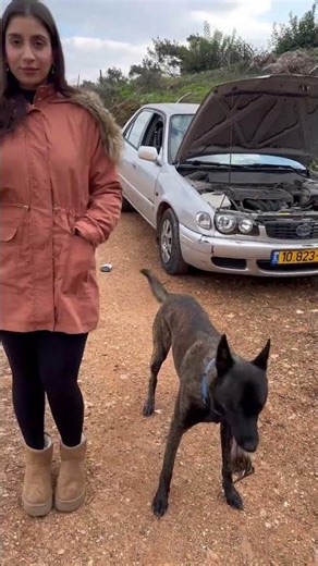 The car made it in the end and we reached the moutain😅#toyota#nature #foryou