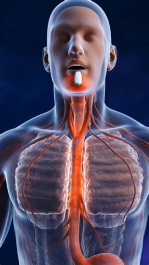 How Do Painkillers Find the Pain? 💊🤔 (3D Science)