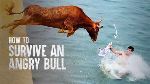 Charged by a bull: The violent reality