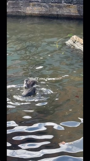 me? just casually obsessed with our girls serving london realness 😌💋 our beautiful F&F girls KILLING it at our signature post LFW show photoshoot 🤩 Photographer @rkvishalofficial Designer and production @blazingggblaiseeee @fierceandflawlesscouturee Models @blazingggblaiseeee @kaylajxde @poppylouise2014 @renandsteff @leo_loewe_007 | Fierce & Flawless Couture