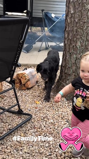 Little hands, big heart ❤️ Helping Uncle Mike carry wood for the fire — memories that will warm us forever. | Melanie Steinmetz