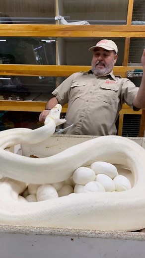 44M views · 3K shares | Sometimes things get a little wild! Working...