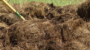 If you are a home gardener and are not composting, you are missing out. Compost is a great soil amendment and it's free! LSU AgCenter horticulturist Kerry Heafner shows us how. | LSU AgCenter