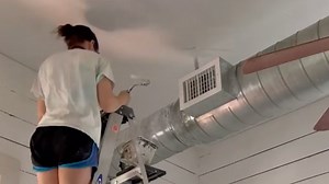 The color that set the tone for the dining room