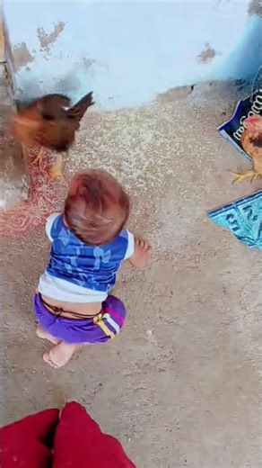 podam folk song #trending #viralvideo #music #singerprabha #ytshortsindia #youtubeshorts