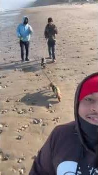 Video of Jalama Beach County Park, CA from Kiari G.