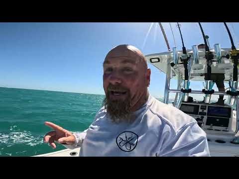 Cobia fishing off the east coast of Florida Find the rays find the fish