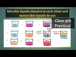 Miscible and immiscible liquids practical class 9 chemistry