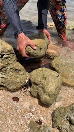 Fish with Crab?! 😲🐟🦀 Unbelievable Catch You Have to See!