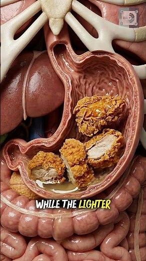 Is Fried Chicken Unhealthy?🍗 #digestivehealth #healthyeating #healthylifestyle