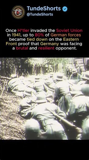 Germany Fought the Wrong Enemy#ww2