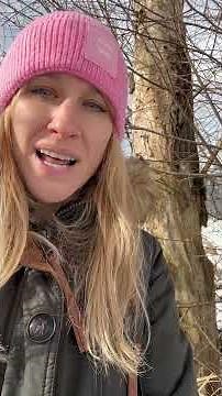 Why deadwood in the forest is important: Life in the biotope wood