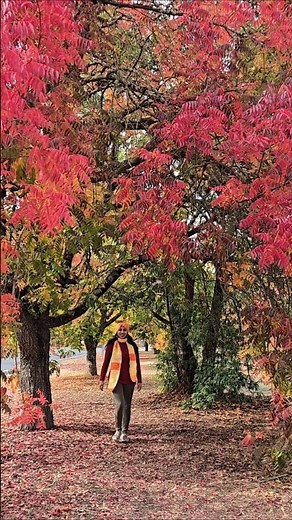 My Cozy Fall Scarf Set | Autumn Crochet Projects | Fall Accessories #diy #crochet