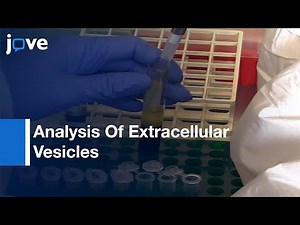 Analysis Of Extracellular Vesicles Using Flow Cytometry (Techniques)