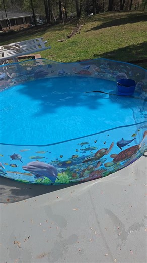 patio is 100 inches. pool is 8 foot wide. we have a winner.