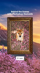 Take look behind the scenes and check out how layers are a simple way to make your favorite subject stand out. Don’t forget to save it for later! ✅ | Adobe Photoshop Elements & Premiere Elements