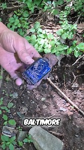 41K views · 890 reactions | Rare McCormick ‘Bee Brand’ Bottle Found...