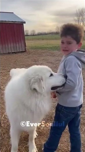 Family Meets Their Puppy, Now Grown 💖