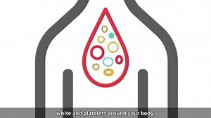 32 reactions | Plasma donors are a vital link in Canada’s Lifeline...