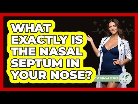 What Exactly Is The Nasal Septum In Your Nose? - Ear Nose Throat Expert