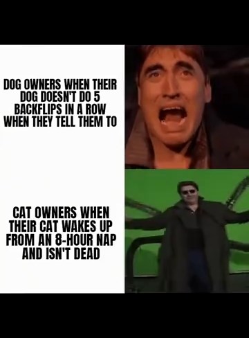 Hilarious Memes Compilation: Best Funny Memes & Short Clips