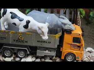 Make home for animal farm, mini pool - garden fruits - tractor farm #farming #cow #animals