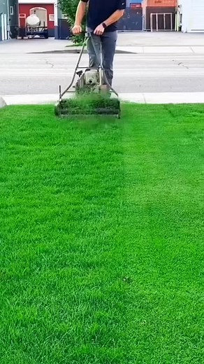 Grass Cutting Nrmew Machine. | Overall cheep