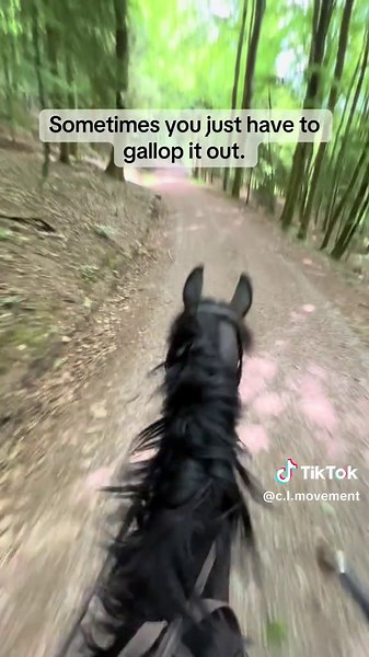 Galloping Through Equestrian Challenges