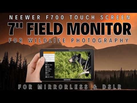 NEEWER F700 7" Camera Field Touch Screen Monitor Wildlife Photography & Filming Review in the Field