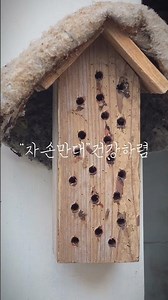 육아를 위해 집에 찾아온 벌과 벌 호텔. #시골생활 #bee #자연 #제주도