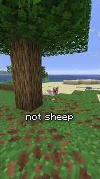 Minecraft but I have 5 minutes to find a wool slab 🫢 #minecraft #gaming #fyp #speedrun #worldly