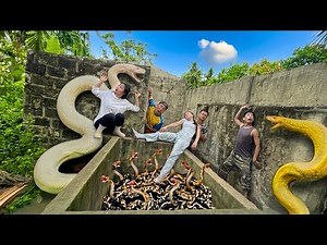 Brave Expert Rescues Ethnic Girl from Two Giant White Pythons in Abandoned House.