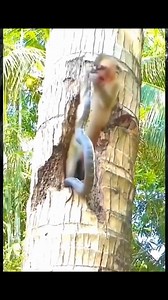 2.6M views · 6.5K reactions | #funny #Amazing #OMG #virals #reelsinstagram #happy #model #photography #fun #cute #love #reels #everyone #entrepreneur #wedding #goodvibes #goodmorning #instagood | Belhorizon Oran | Facebook