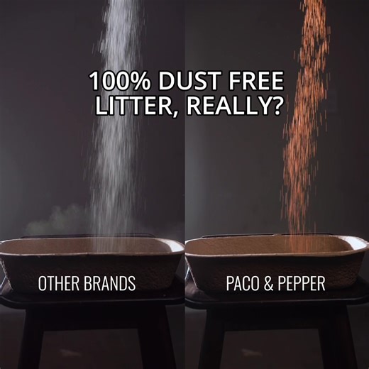 Meow! Finally a real 100% dust-free cat litter... | Paco&Pepper