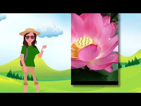 Welcome to PlantSnap!