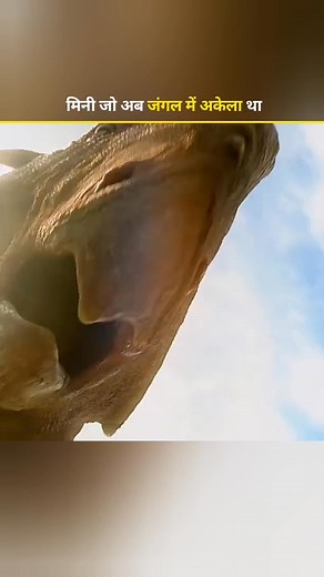 1.9M views · 23K reactions | OG Movie They Call Him OG Pawan Kalyan...