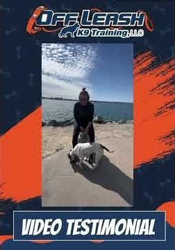 🐶🦮Off leash Dog Training / Obedience Training 🦮🐶