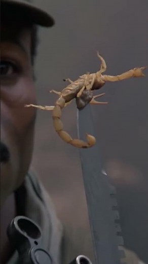 "Anytime." - Predator (1987)